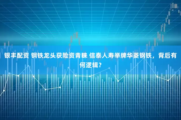 银丰配资 钢铁龙头获险资青睐 信泰人寿举牌华菱钢铁，背后有何逻辑？