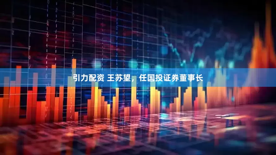 引力配资 王苏望，任国投证券董事长