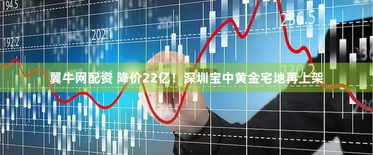 翼牛网配资 降价22亿！深圳宝中黄金宅地再上架