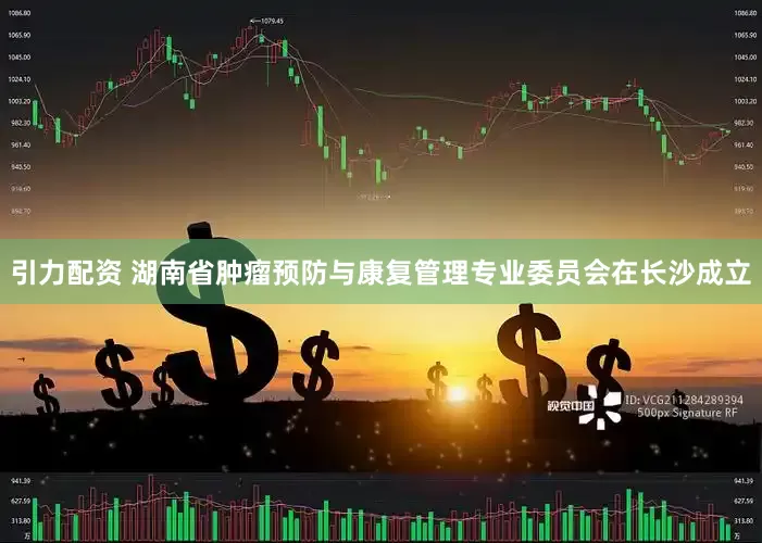 引力配资 湖南省肿瘤预防与康复管理专业委员会在长沙成立